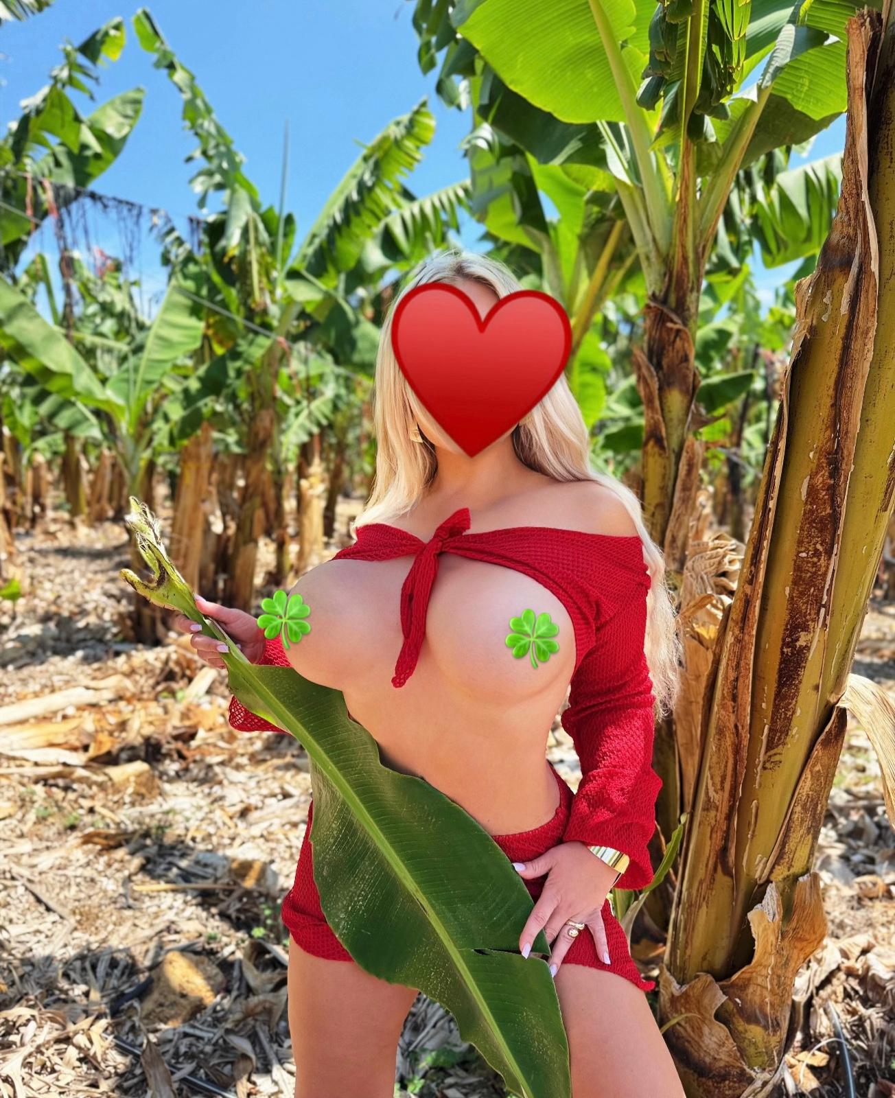 סופיה – בחיפה -מסאזיסטית דיסקרטית